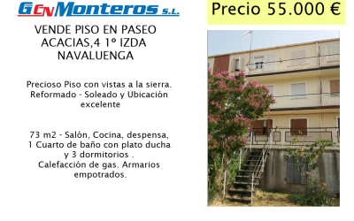 VENTA EN PASEO ACACIAS, NAVALUENGA